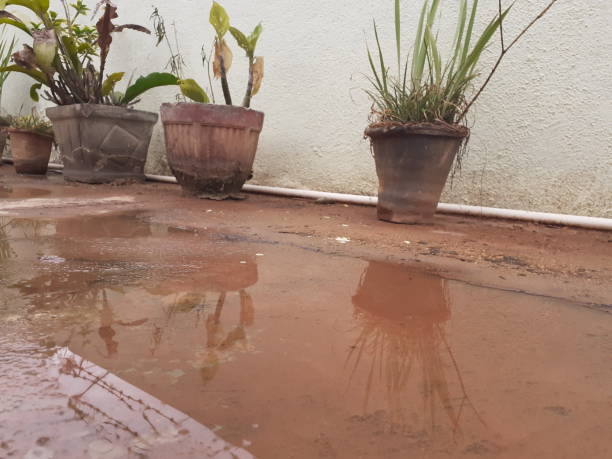 Wet reflective floor in the garden.