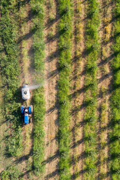 irrorazione agricola di un campo di mele - spraying agriculture farm herbicide foto e immagini stock