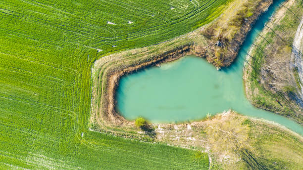 istock Green field and lake 1268019137