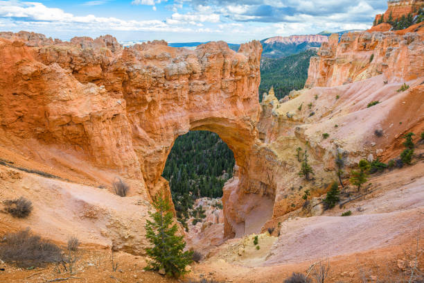 Bryce Canyon National Park, Utah, USA at the natural bridge.