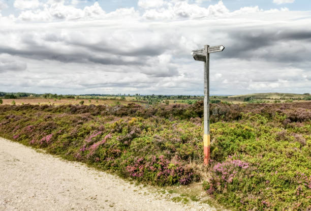 istock Footpath sign on Canford Heath in Dorset 1268023440