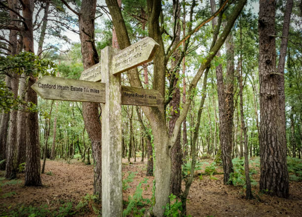 Footpath sign on Canford Heath in Dorset, with woodland behind