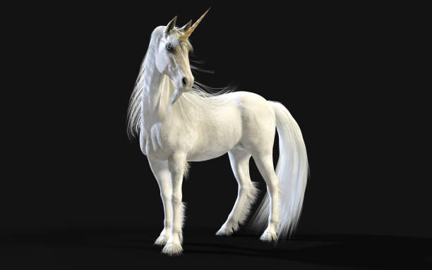 White Unicorn Posing with Clipping Path. stock photo