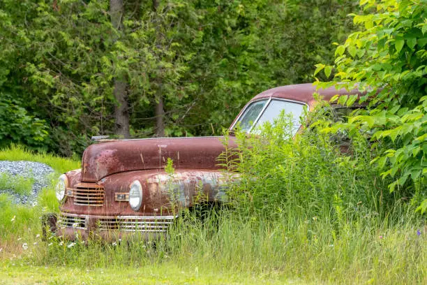 An old, rusty, abandoned car in the bushes. The car is completely covered with rust, but the windows are intact.