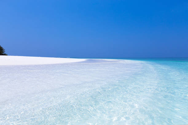 istock Beautiful Maldives nature 1268032719