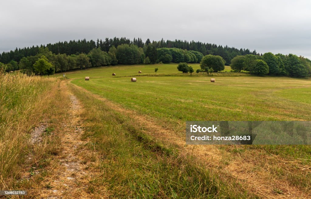 Rural landscape with meadow, haystack and forest near Trutnov town in Czech republic Rural hilly landscape with meadow, haystack and forest in easternmost part of Krkonose mountains near Trutnov town in Czech republic Beauty In Nature Stock Photo