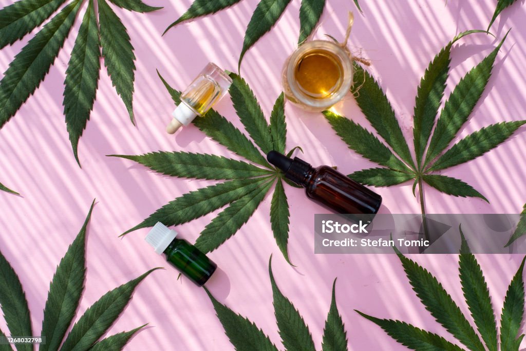 Marijuana industrial cannabis leaves and products flat lay pattern on pink background top view Marijuana industrial cannabis hemp leaves and products like oil, cream and tincture flat lay pattern on pink background top view Cannabidiol Stock Photo