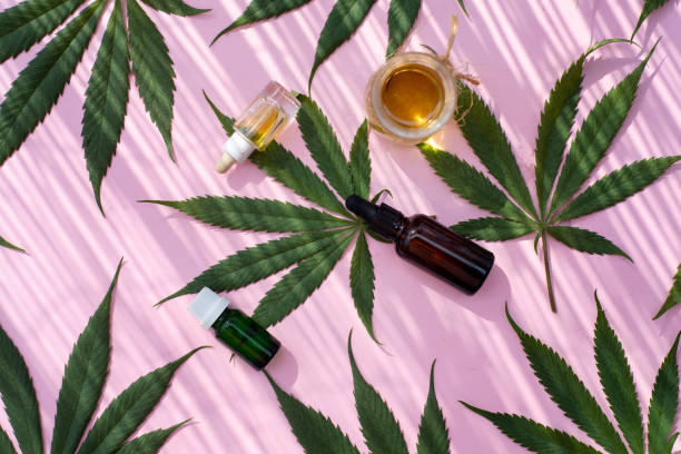 Marijuana industrial cannabis leaves and products flat lay pattern on pink background top view Marijuana industrial cannabis hemp leaves and products like oil, cream and tincture flat lay pattern on pink background top view hashish photos stock pictures, royalty-free photos & images