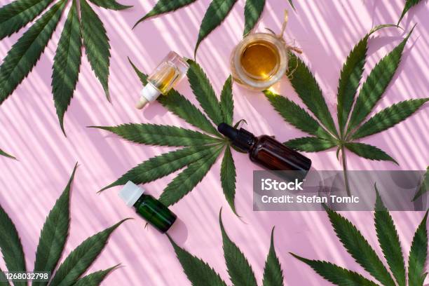 Marijuana Industrial Cannabis Leaves And Products Flat Lay Pattern On Pink Background Top View Stock Photo - Download Image Now