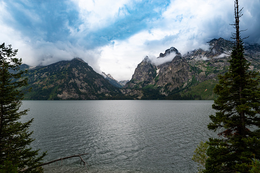 Scenic view of a forest with a road leading to a lake with the Grand Teton mountains on the background, in the State of Wyoming, USA