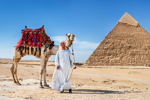 Bedouin standing with his camel, pyramids on the background, Giza, Egypt.