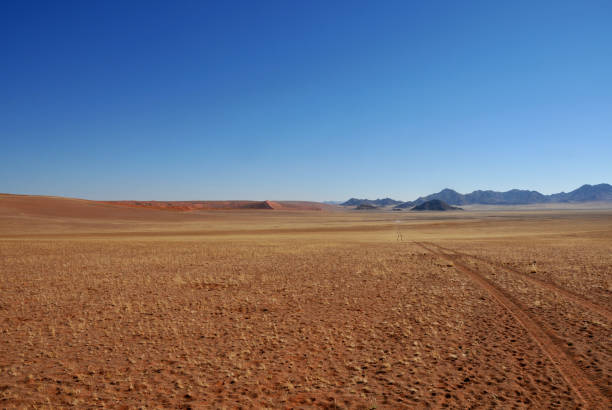 The endless Haiber flats in the Namib A set of tracks of an adventurer over the desolation of the endless Haiber flats in the Namib Desert namib sand sea stock pictures, royalty-free photos & images