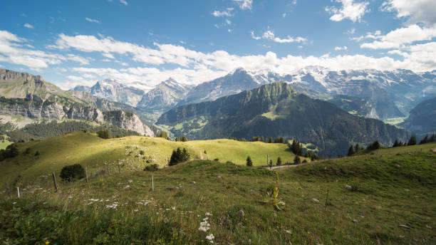 jungfrau region switzerland view of the famous swiss mountains eiger mönch and jungfrau, seen from the schynigen platte. jungfrau stock pictures, royalty-free photos & images