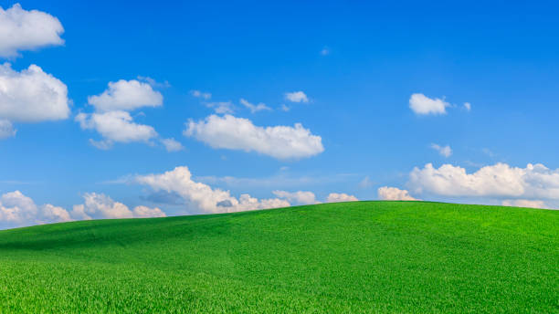 istock Panoramic spring landscape XXXXL 54 MPix - green field, blue sky 1268039264
