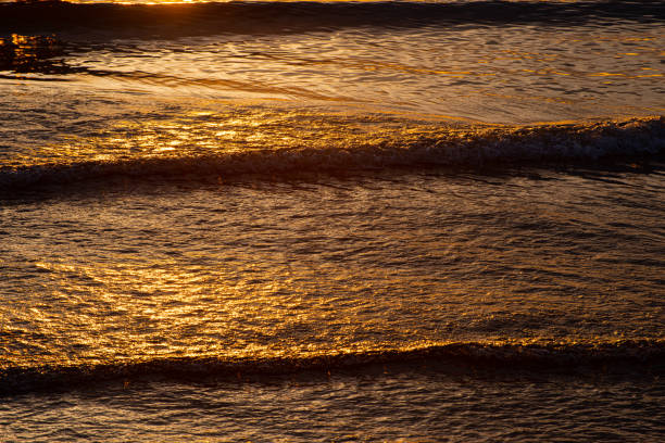 Free Stock Photo of Sunset casting golden light on a sandy beach ...