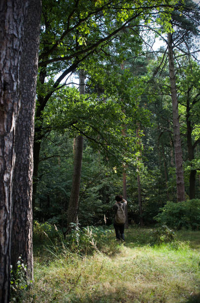 istock Woman is photographing in forest 1268041637