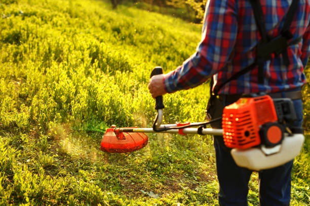 istock mowing trimmer - worker cutting grass in green yard at sunset 1268041807