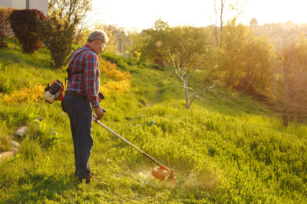 istock mowing trimmer - worker cutting grass in green yard at sunset 1268041921