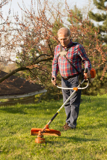 istock mowing trimmer - worker cutting grass in green yard at sunset 1268042519