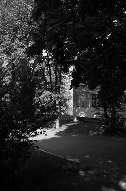 istock Town street under the trees 1268046405