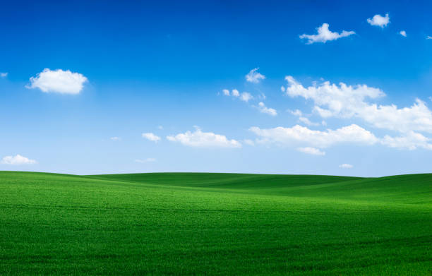 istock Panoramic spring landscape XXXXL 91 MPix - green field, blue sky 1268047699