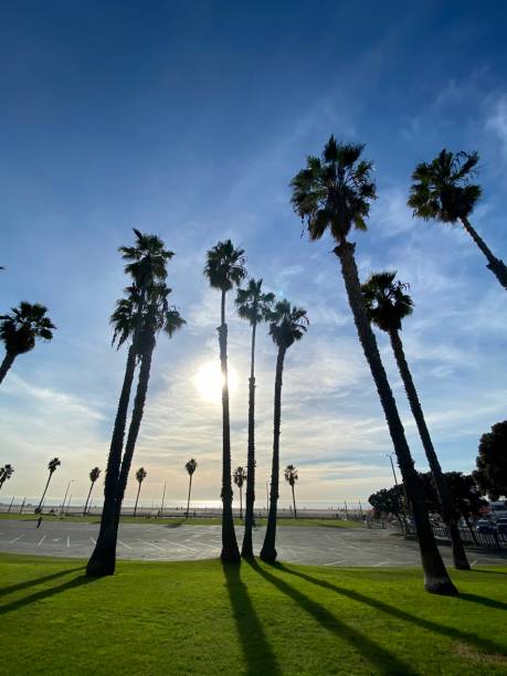 istock Santa Monica Beach and empty parking 1268049761