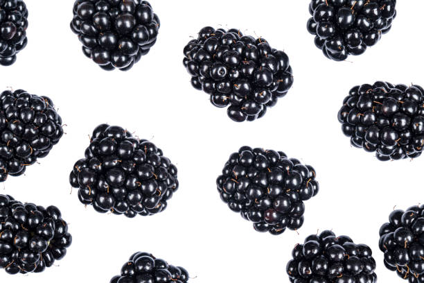 istock Isolated blackberries. Blackberry fruits isolated over white background with clipping path. Macro shot fresh juicy blackberry isolated on white background 1268050007