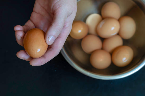 istock Male hand holds  moist brown chicken egg. 1268050100