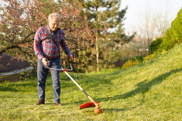 istock mowing trimmer - worker cutting grass in green yard at sunset 1268055605