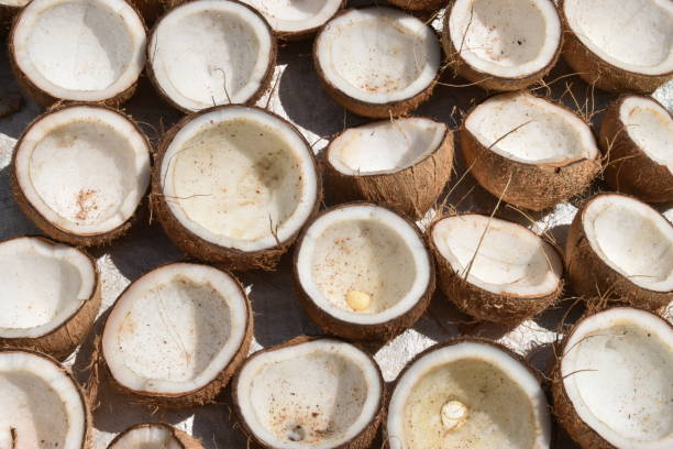 istock Pile of split coconuts waiting to be dried and turned into koppara 1268055754