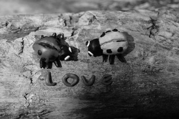 istock Figures of two ladybirds on a wooden surface. 1268056627