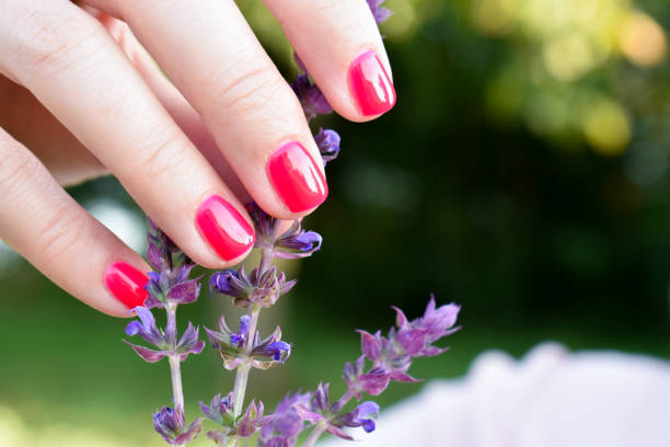 istock Pink nails and a lavander flower 1268059070