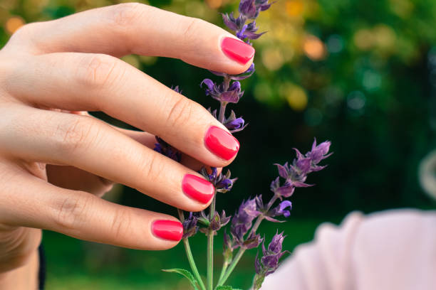 istock Pink nails and a lavander flower 1268059088