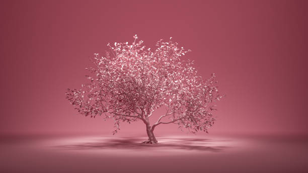istock Big single tree with leaf in monochrome single color background, 3d rendering 1268060111