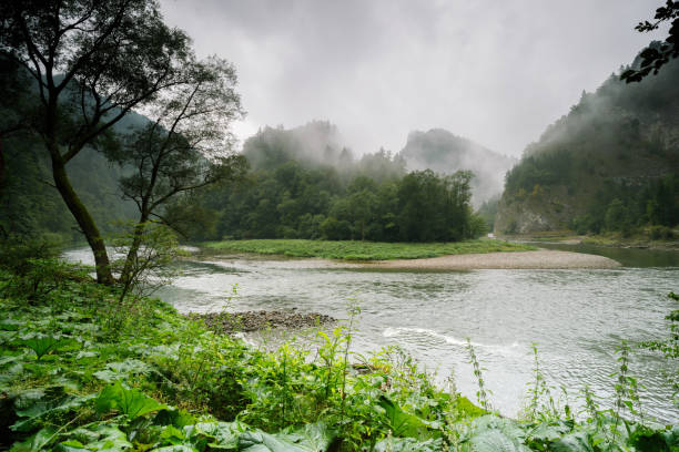 Free Stock Photo of River Flowing Through Lush Green Field Under Cloudy ...