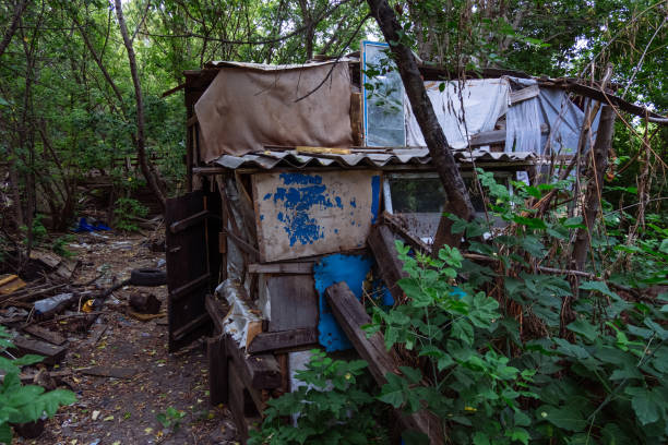 istock Homeless dweling. Small habitation made from garbage in dirty littered forest 1268065736