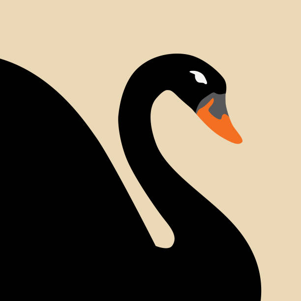 ikona black swan - black swan stock illustrations