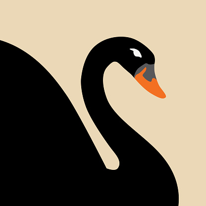 Vector illustration of a black swan on a square beige background.
