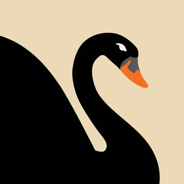 Vector illustration of Black Swan Icon
