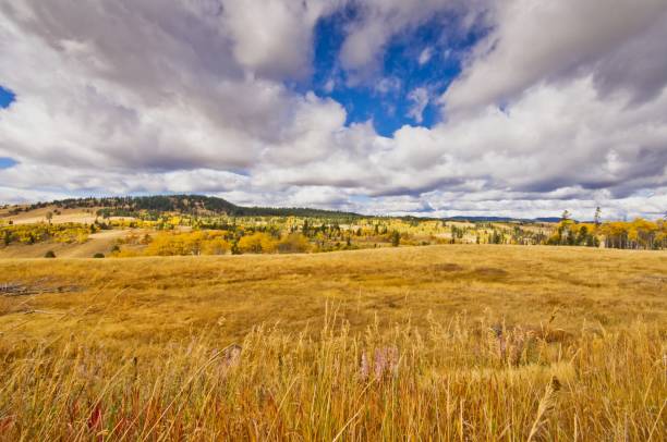 istock Bright golden rolling rangeland in autumn colors 1268069111