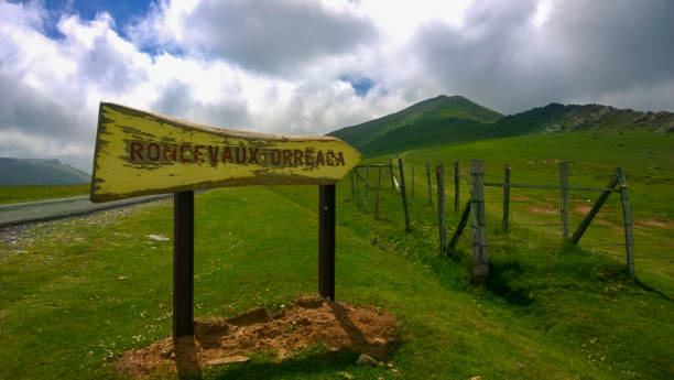 segno del sentiero roncevaux roncesvalles sui monti pirenei sul sentiero del cammino di santiago - pyrenean foto e immagini stock