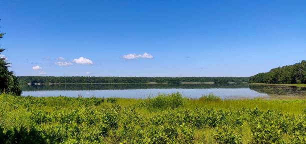 istock View of Assawompset Pond 1268070892
