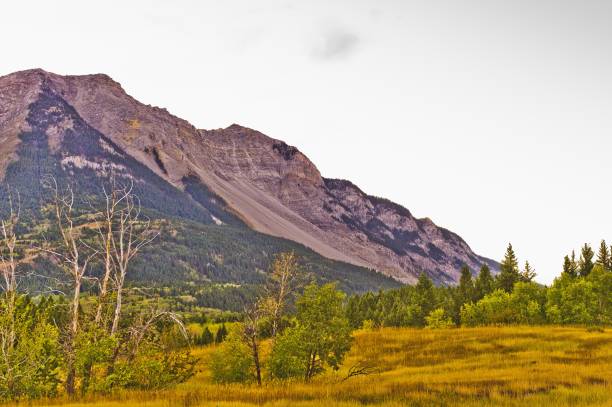 istock A massive mountain slide destroys town 1268071019