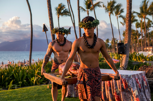 Wailea beach, Maui: Roast pig getting ready by traditionally dressed Hawaiian men during luau on beach in Maui.