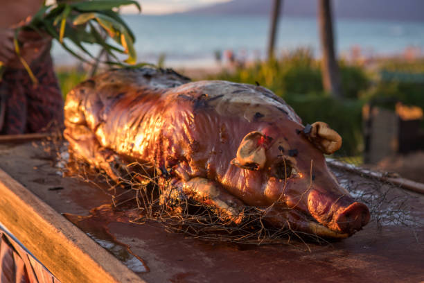 гавайская свинья жаркое на пляже. - spit roasted pig roasted food стоковые фото и изображения