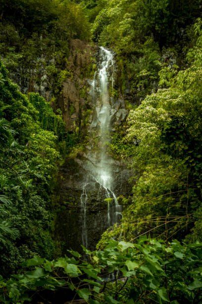 Wailua falls in Maui. Beautiful waterfall near Hana, Maui. hana coast stock pictures, royalty-free photos & images
