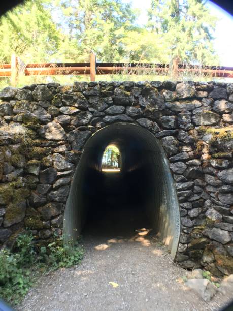 istock pedestrian tunnel on marymere falls trail 1268073670