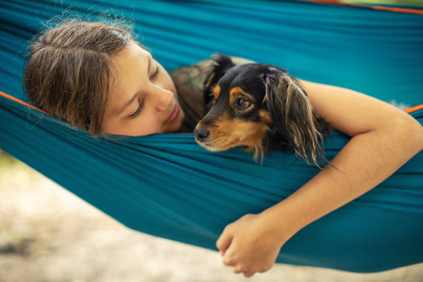 istock Girl relaxing in hammock with her dog 1268074759