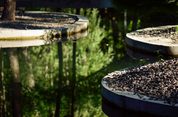 morning park in water reflection