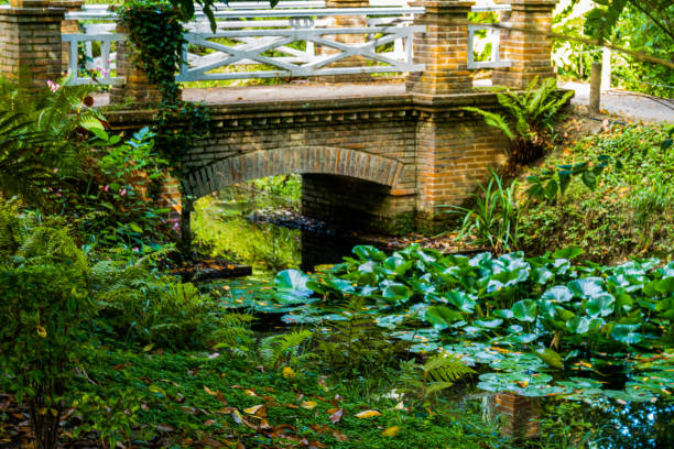 istock Bridge over the river in the botanical garden 1268078588